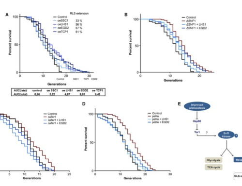 TORC1-mediated sensing of chaperone activity alters glucose metabolism and extends lifespan.